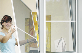 Описание изображения